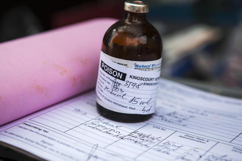 ‘Vet medicines will find their way across the border’