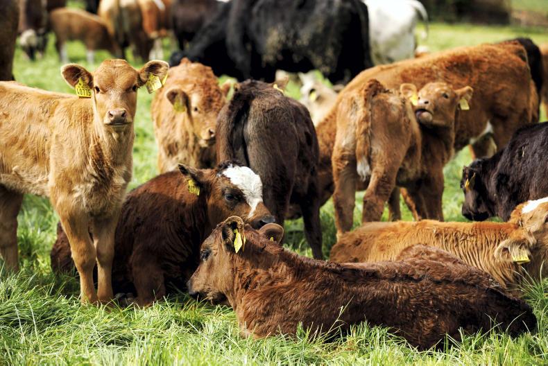 News in-brief from Northern Ireland