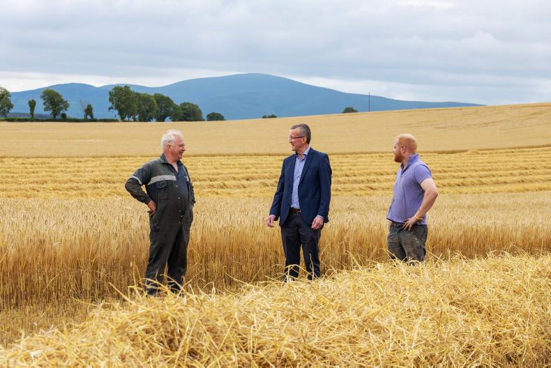 Livestock farmers must maximise their use of Irish grain IFA Free