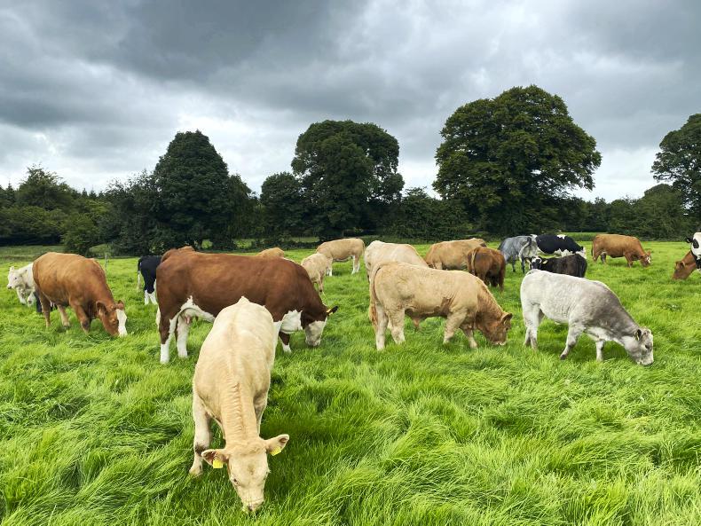 Farmer Writes: last thing agriculture needs is instability