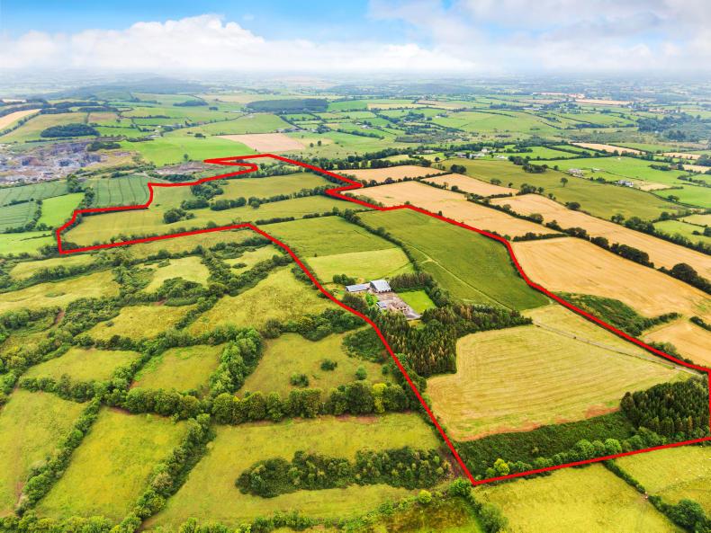 106ac of quality land for sale near Lough Owel Premium