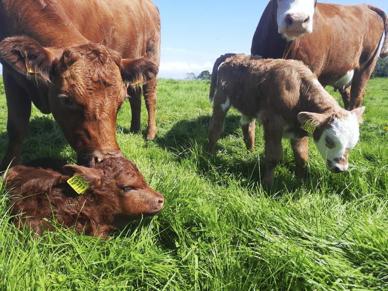 Farmer Writes: we know our TB history better than any report