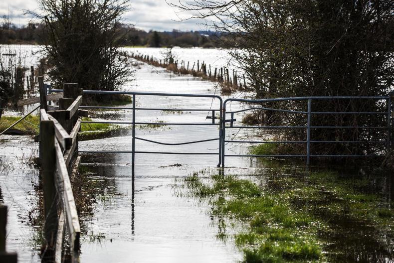 Farmland flooded as river bursts its banks in Clifden 