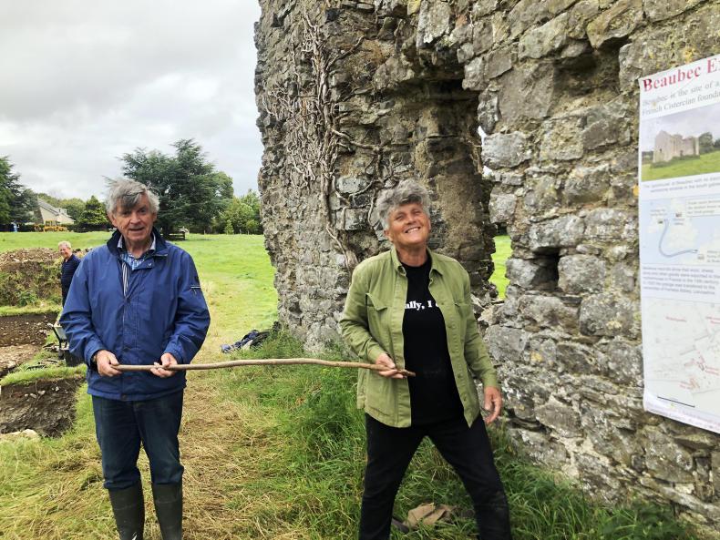 The origins of modern farming being uncovered in Meath 