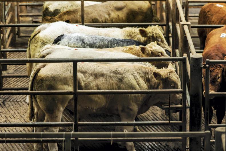 Farmer demand drives strong weanling trade