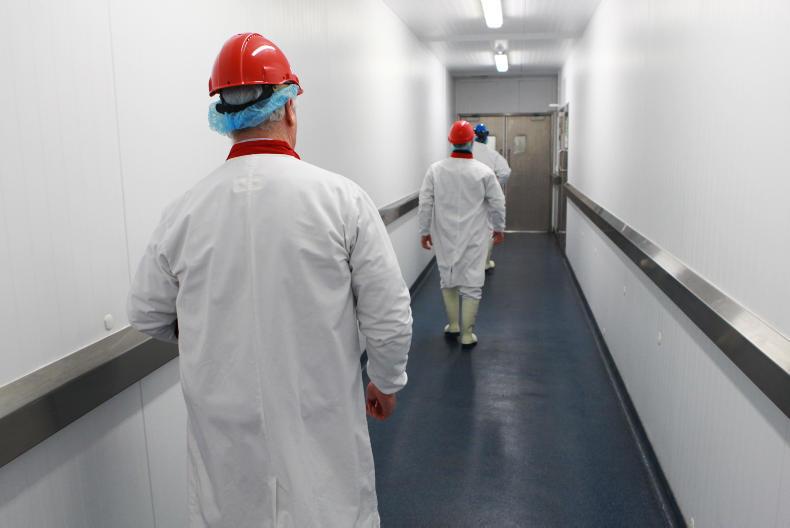 Calls for restoration of blanket factory worker testing 10 September 2020 Free