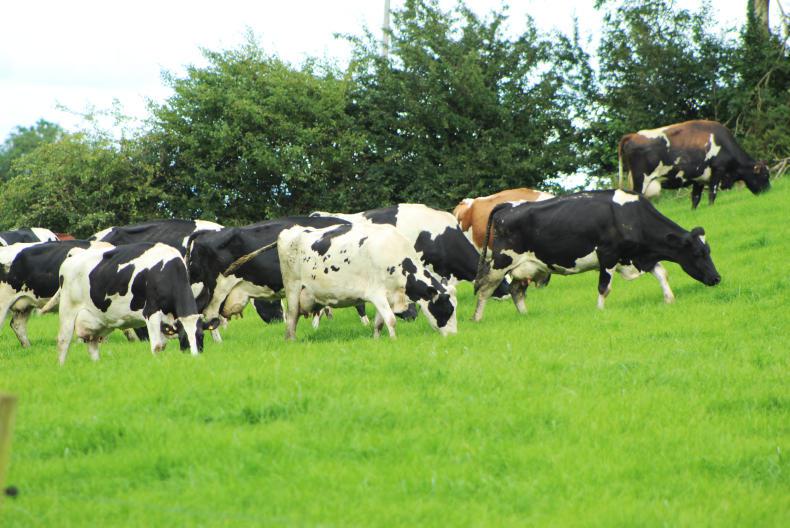 How climate will influence farming supports to 2030 and beyond - McConalogue