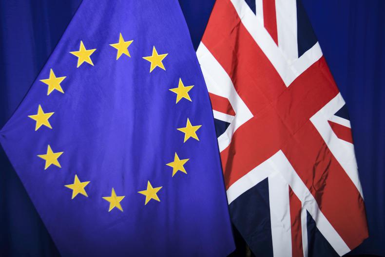Budget 2021: support for agriculture needed in face of COVID-19 and Brexit
