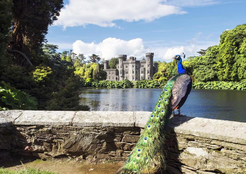 Travelling back in tillage time