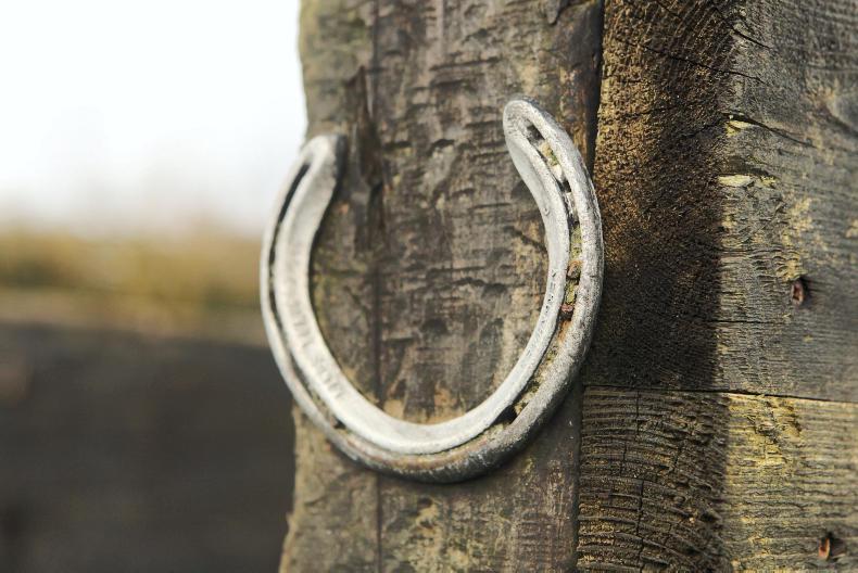 Disruptions to equestrian events as country moves to Level 3