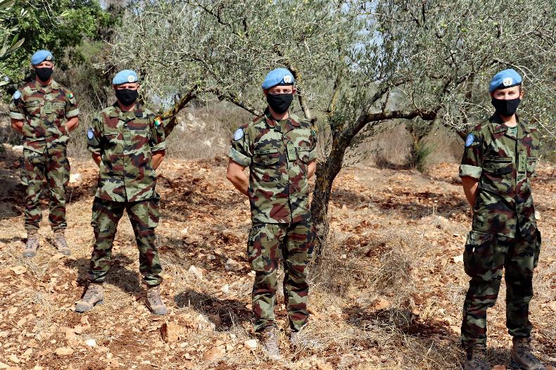 'When we heard they were trying to set up a co-op, it hit a chord with us'