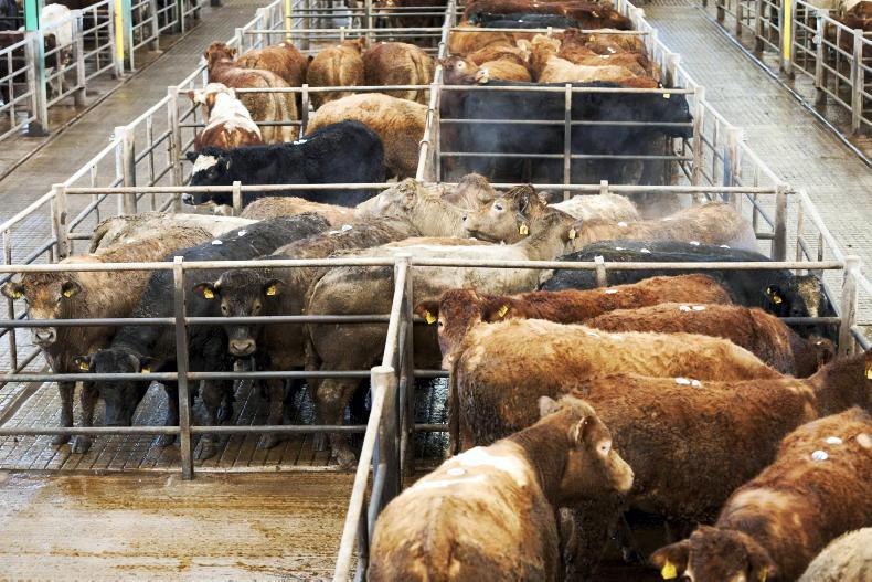 Legal Matters:  who is responsible for an animal that died at the mart?