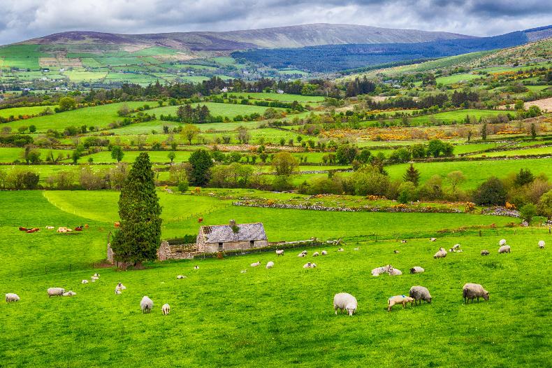 What would happen if there were no farm subsidies in Ireland?