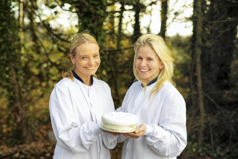 A Simply Better Christmas          