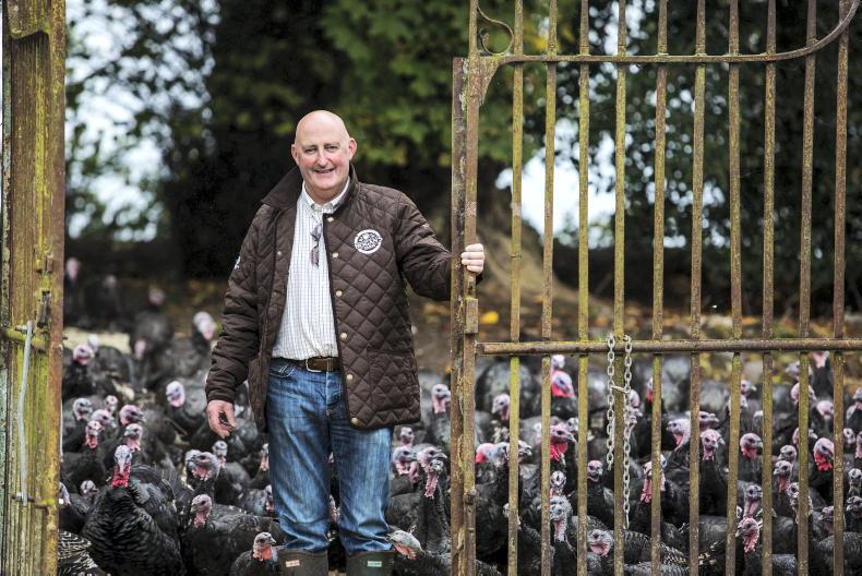 ADVERTORIAL: a Simply Better Christmas             