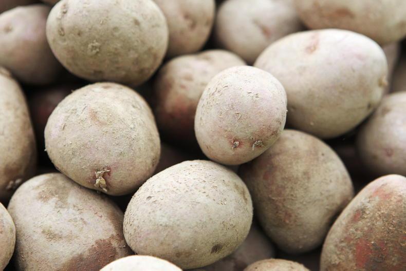 Potatoes can play a role in type 2 diabetes diets new research Free