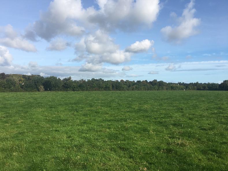 Two parcels of land for sale in Co Meath - Vimarsana News