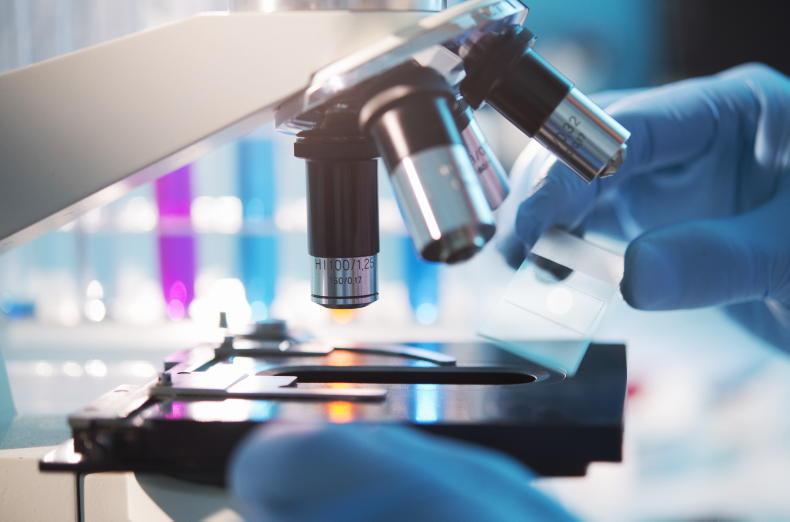 Cancer surviving food producers, farmers and foodies wanted