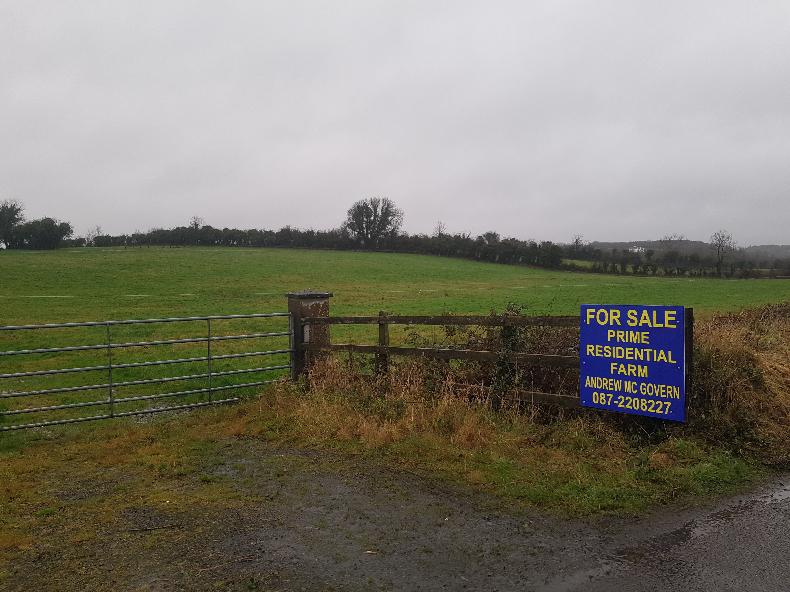 Small Leitrim farm with show heritage catches the eye - Vimarsana News