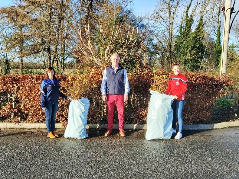 Kilkenny Macra to plant over 1,000 native trees - Vimarsana News