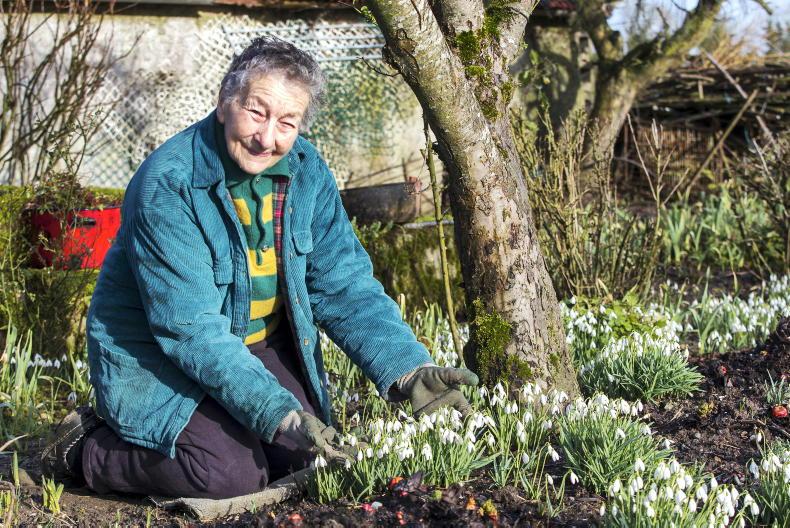‘I am thankful for my health and equally so for my garden’