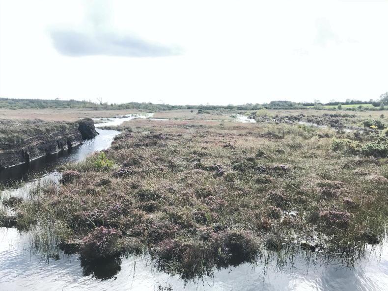 IFA raises bog rewetting concerns with Bord na Móna - Vimarsana News