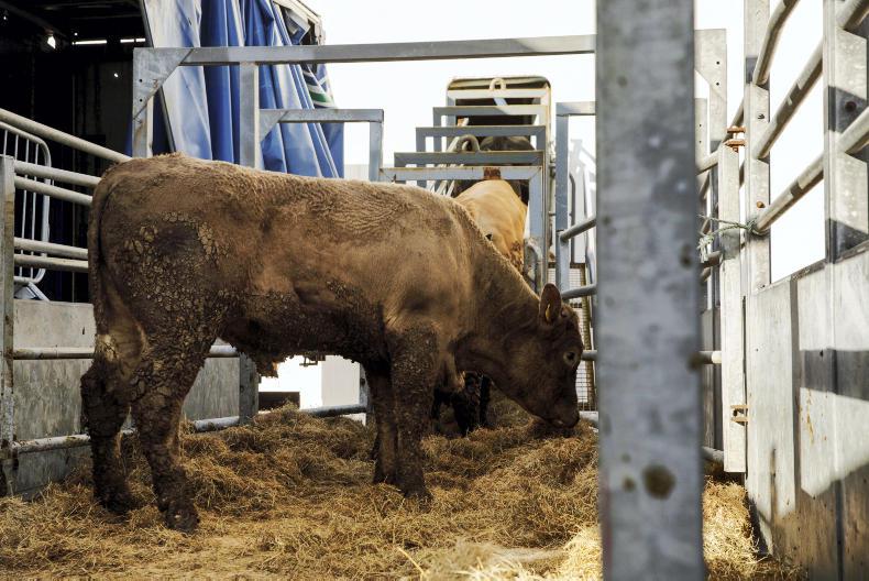 Two boats to load for Turkey and Libya