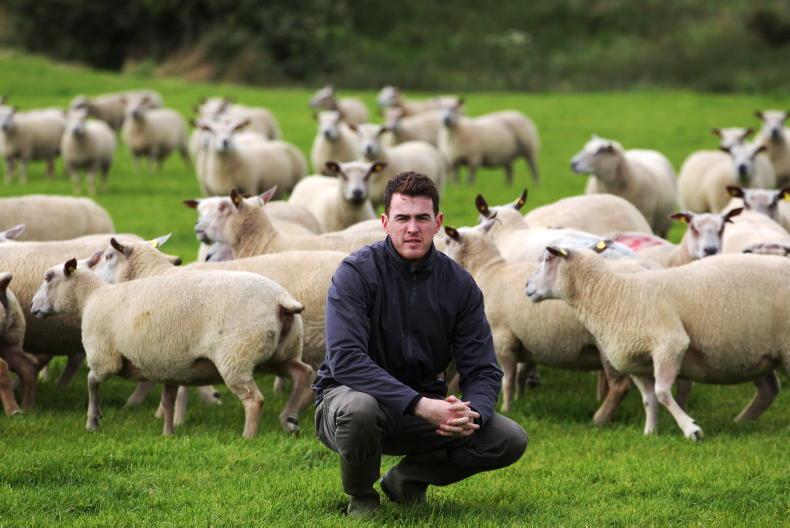 Teagasc scholars in the running for doctoral awards - Vimarsana News