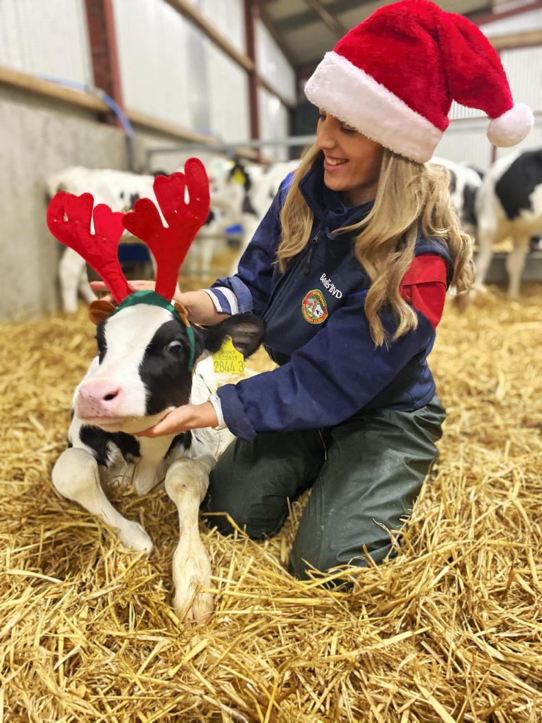 My Country Living: ‘I always wanted to be a veterinary nurse’