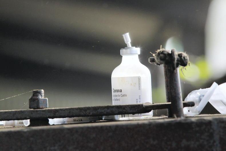 Vets against COVIDIOTS        