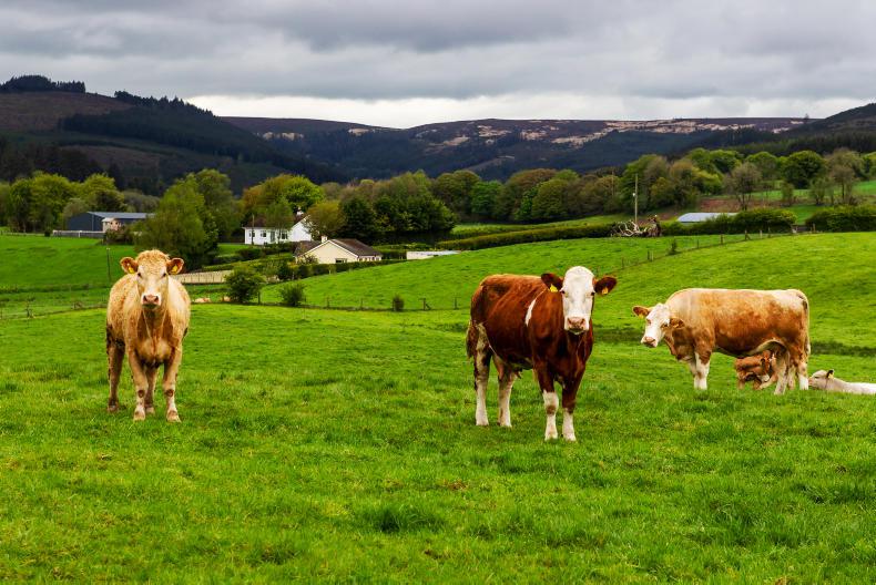 UK farm policies heading in different directions - Vimarsana News