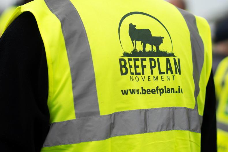 Two directors resign from Beef Plan Movement company - Vimarsana News