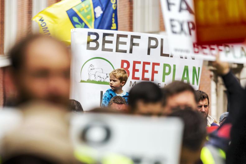 Failure to resolve internal Beef Plan row sees directors removed