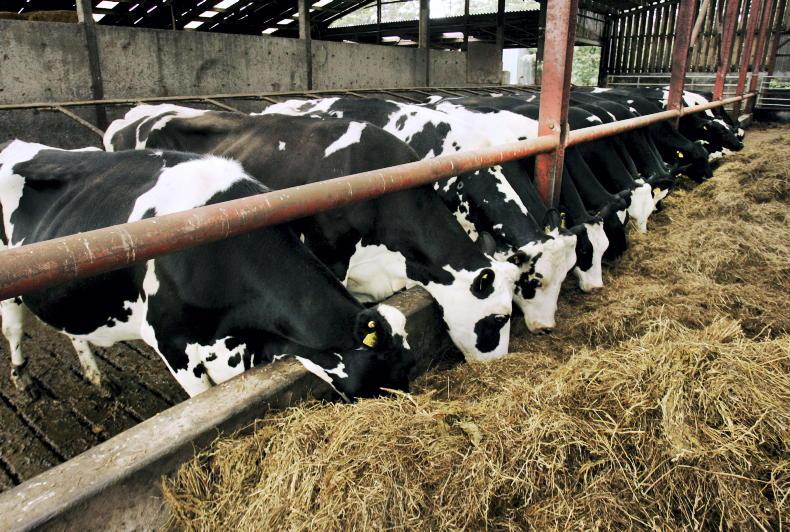 Watch again: Dairylink webinar on winter feed - Vimarsana News