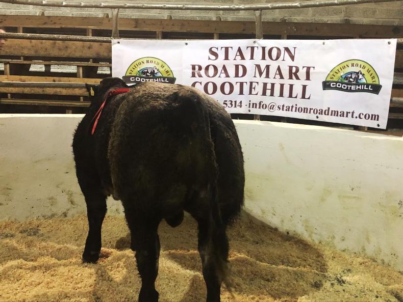 Popular Co Cavan mart to close - Vimarsana News