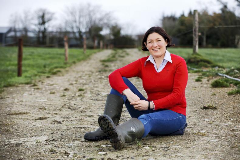 West Cork scoops top spot in Grassland competition - Vimarsana News