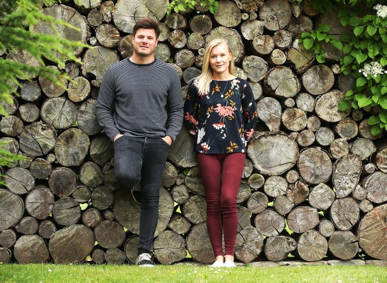 Irish success at the Michelin Awards - Vimarsana News