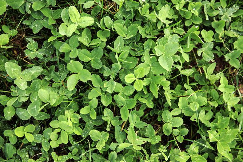 Fertilizer Association of Ireland looks to new era at spring seminar - Vimarsana News