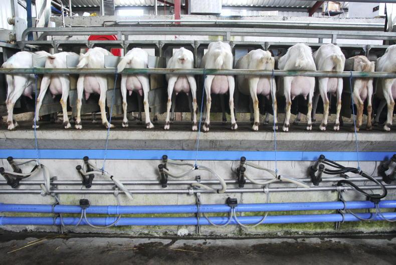 Agri jobs animal nutritionist and goat farm manager wanted Free