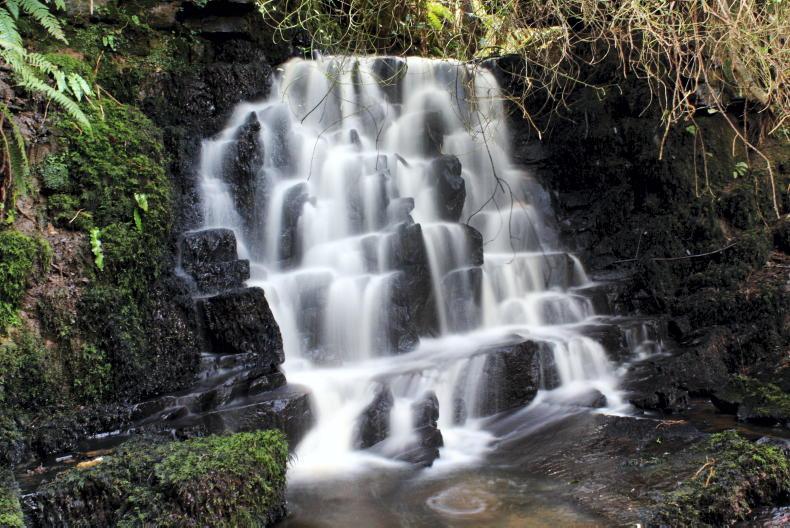 A Week in the Country                                    