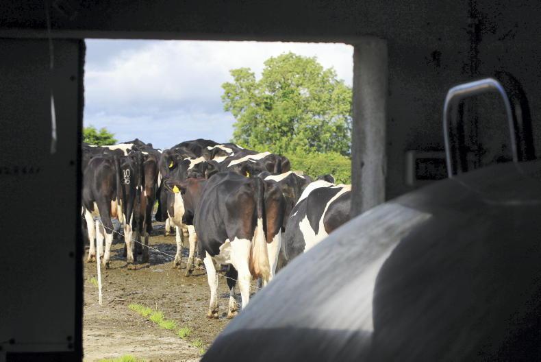 Double blow for dairy farming - Vimarsana News