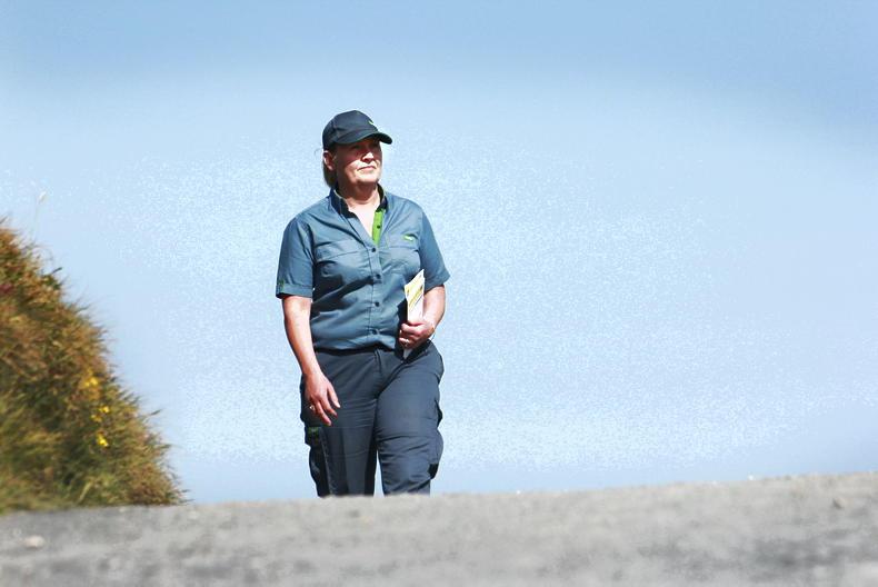 My Country Living: on the postal route with Ann Marie Molloy