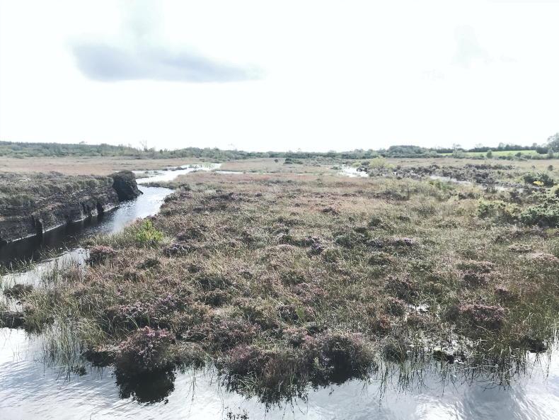 Opportunity for farmers to voice their opinion on bog rewetting - Vimarsana News