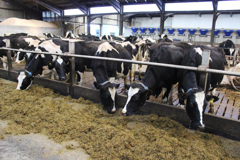 Dale Farm and Strathroy increase milk price for January - Vimarsana News