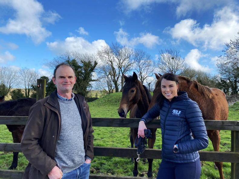 Breeding from the ground up