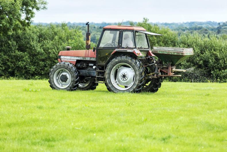 Sheep Management: prompt fertiliser application and ewe-hogget dilemma - Vimarsana News