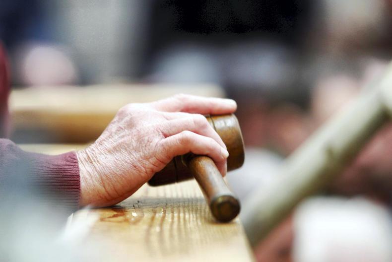 Kildare farmer fined €2,500 for illegal destruction of vegetation - Vimarsana News