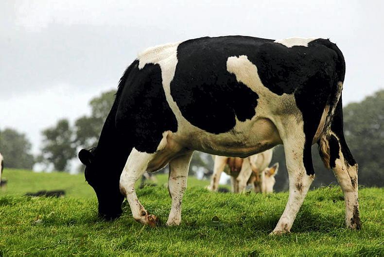 Reduce the risk of bloat in your calves to maximise health and