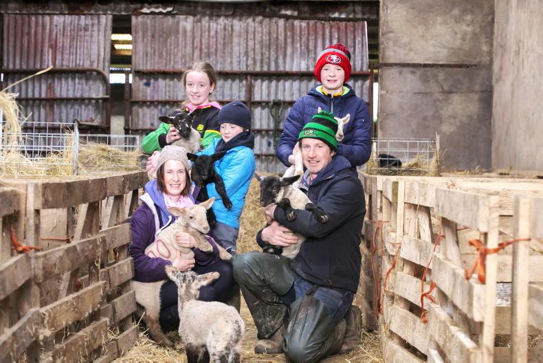 My Farming Week: Wesley Hatton, Ballyhyland, Caim, Enniscorthy, Co Wexford - Vimarsana News