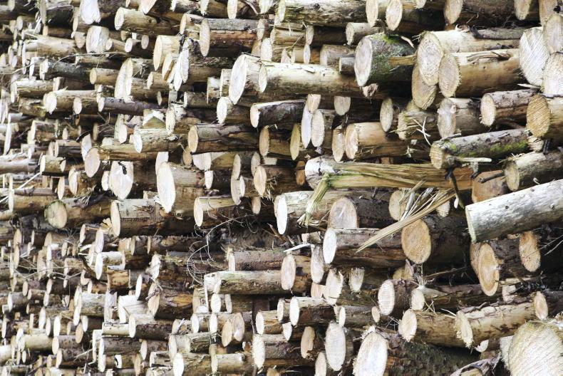 Department failing to communicate 'dire' forestry ...